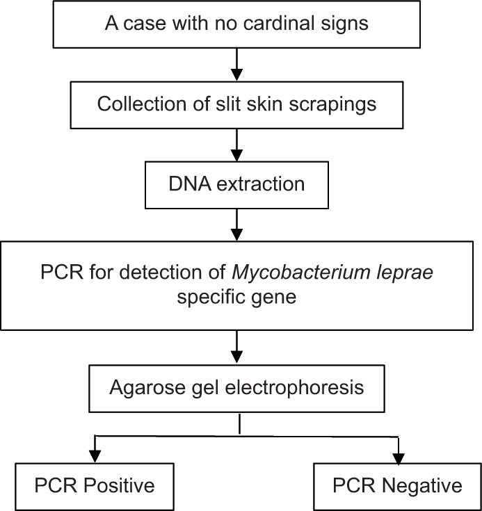 PCR procedure in leprosy. PCR: Polymerase chain reaction.