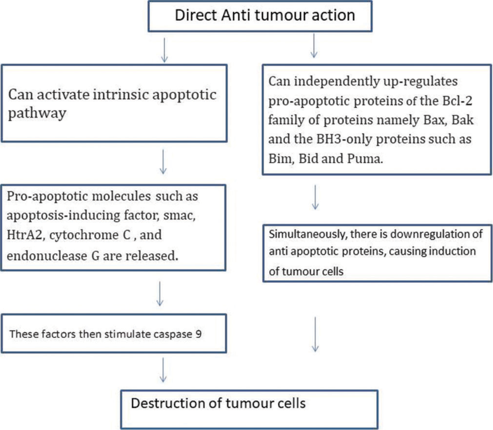 Direct anti-tumour action mechanism of imiquimod.