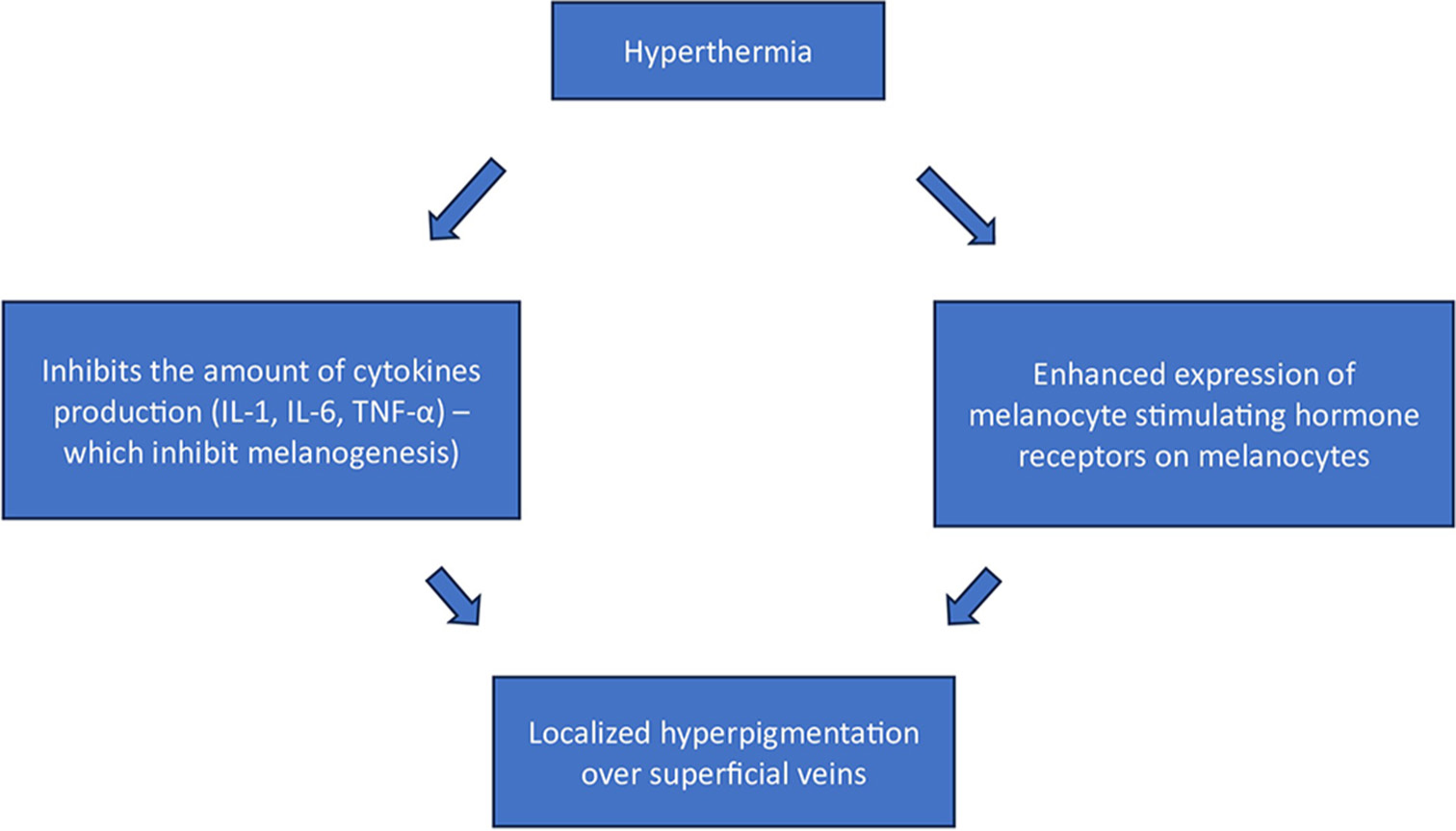 Pathophysiology of serpentine supravenous hyperpigmentation in systemic sclerosis. IL: interleukin, TNF: Tumor necrosis factor.